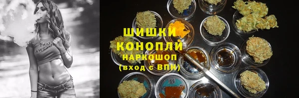 ГАЛЛЮЦИНОГЕННЫЕ ГРИБЫ Алзамай