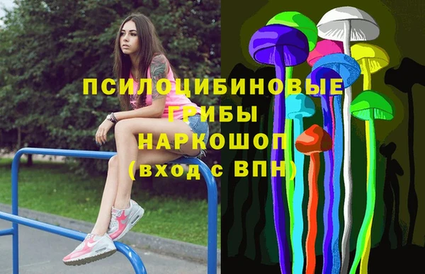 спиды Алексин