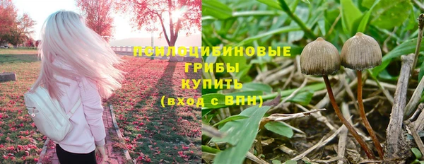 спиды Алексин