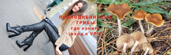 ГАЛЛЮЦИНОГЕННЫЕ ГРИБЫ Алзамай