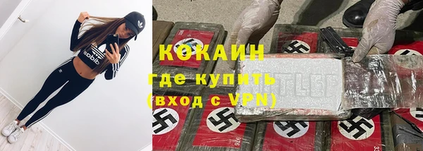 ГАЛЛЮЦИНОГЕННЫЕ ГРИБЫ Алзамай